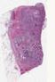 sample B (block 1, slide 165)