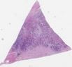 sample D (block 1, slide 100)