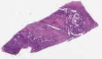 sample D (block 1, slide 171)