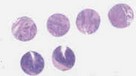 UC (E3, F3, G3, H3)