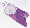 sample D (block 1, slide 149)