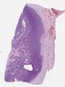 sample C (block 1, slide 150)