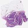 sample D (block 1, slide 121)